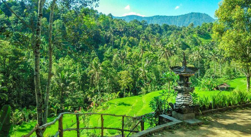 Photo of Outdoor in Sawan