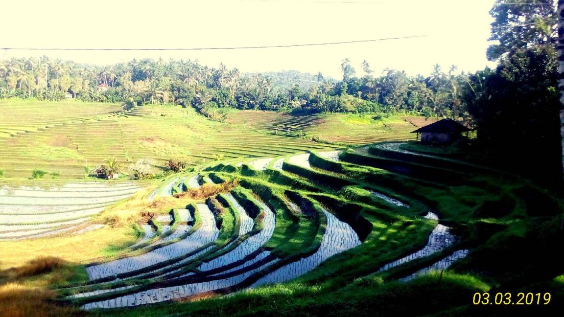 Photo of Others in Mengwi