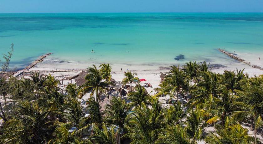Photo of Others in Isla Holbox