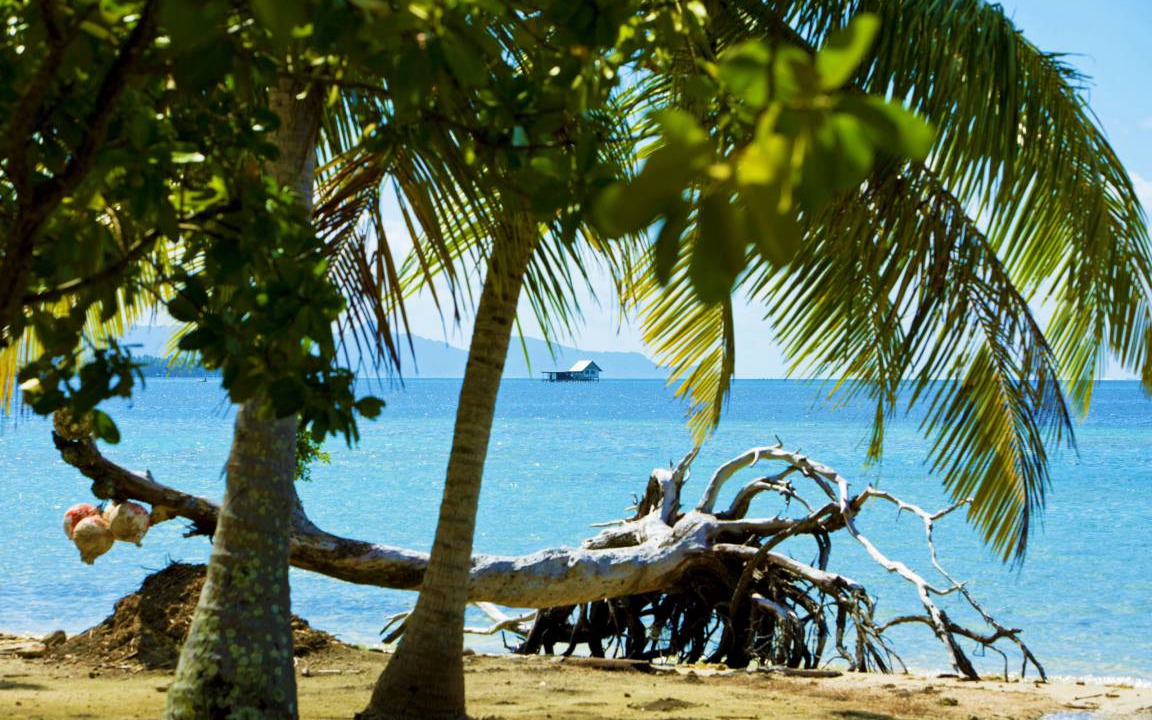 Photo of Others in Teahupoo