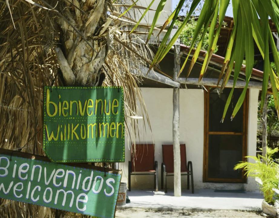 Photo of Others in Isla Holbox