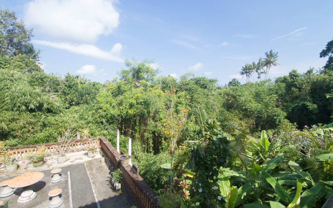 Photo of Others in Ubud City-Centre