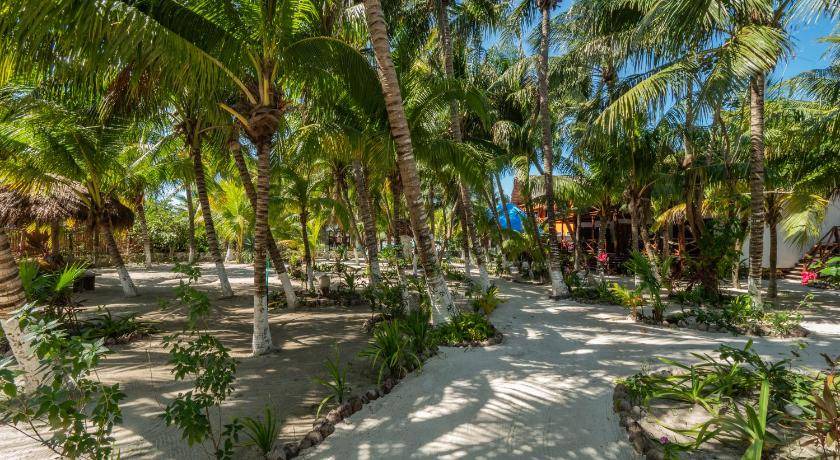 Photo of Others in Isla Holbox