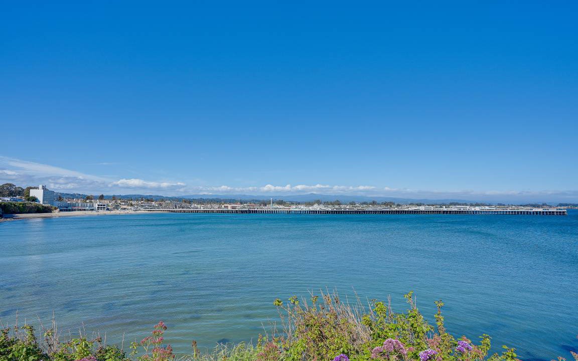Photo of Others in Westside Santa Cruz