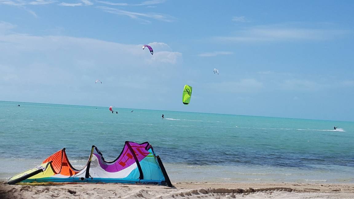 Photo of Others in Long Bay