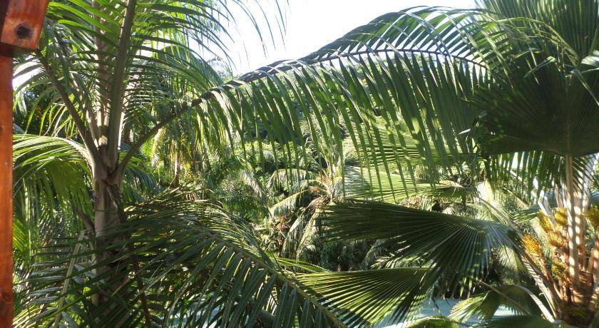 Photo of Others in Mahe Island