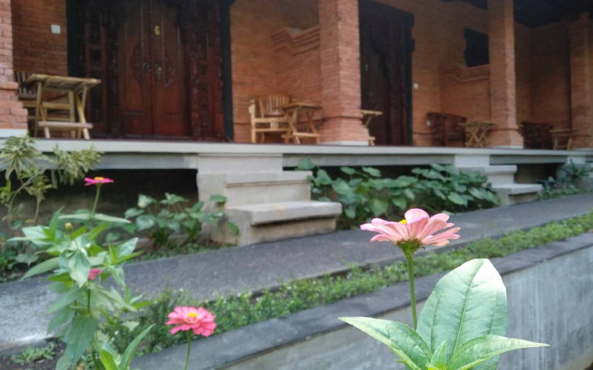 Photo of Others in Pejeng