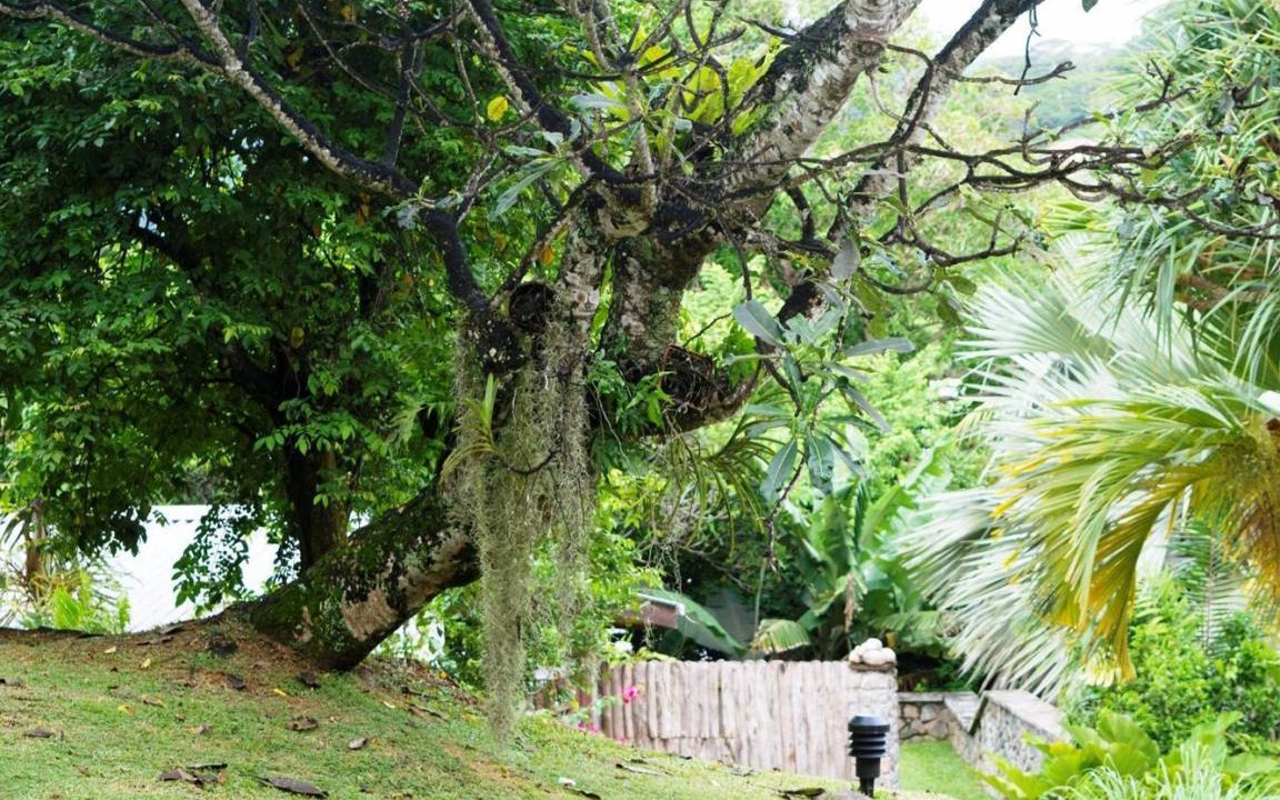 Photo of Others in Mahe Island