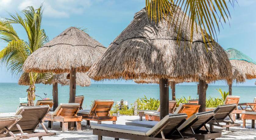 Photo of Others in Isla Holbox