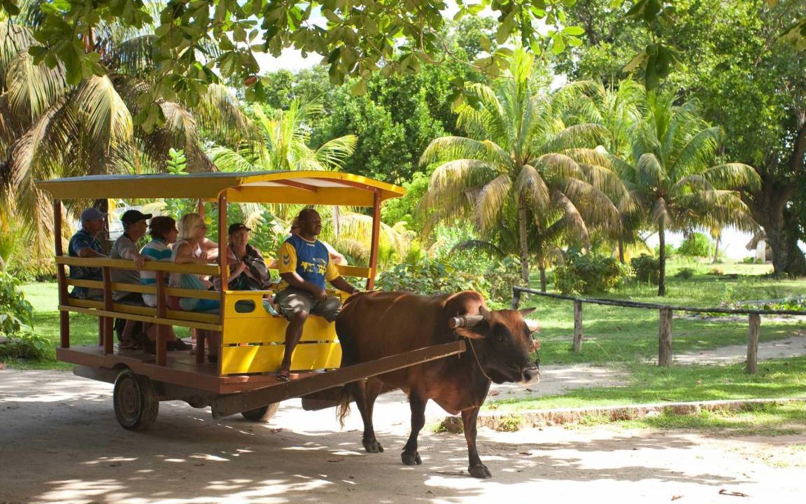 Photo of Others in La Digue