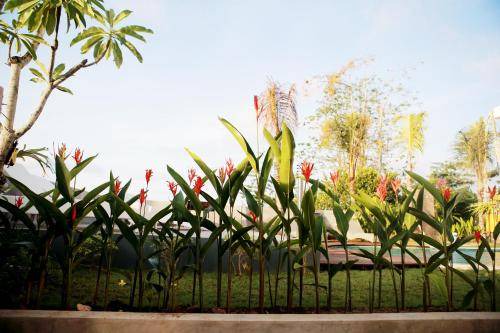 Photo of Others in Bukit
