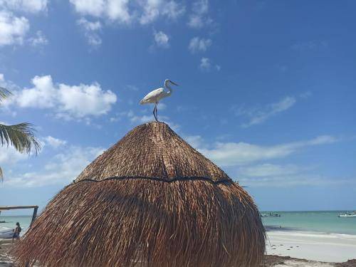 Photo of Buildings in Isla Holbox