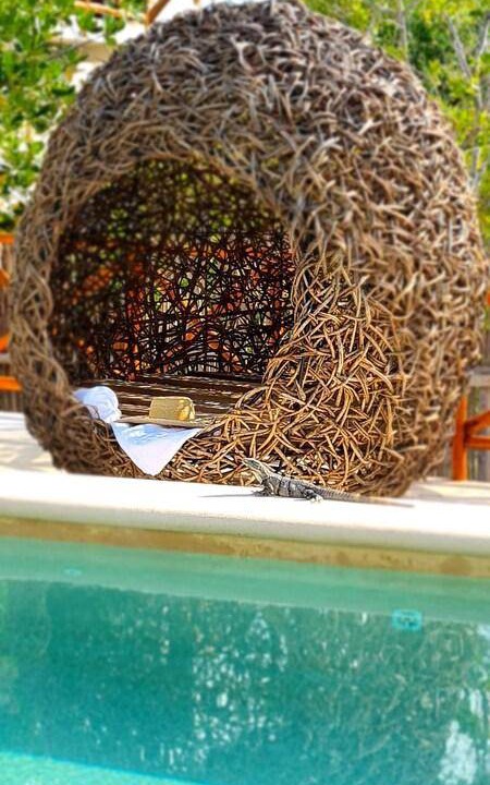Photo of Others in Isla Holbox