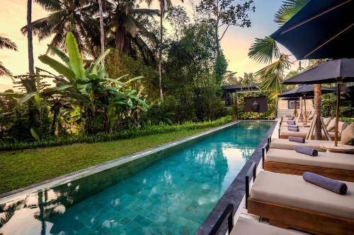 Photo of Others in Ubud