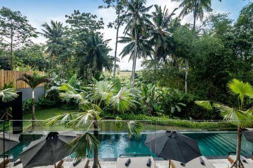 Photo of Others in Ubud