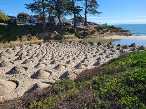 Photo of Others in Eastside Santa Cruz