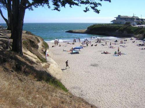 Photo of Others in Eastside Santa Cruz