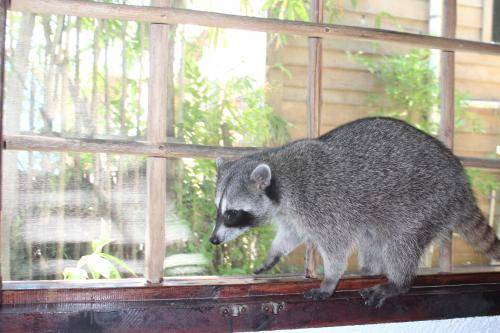 Photo of Others in Isla Holbox