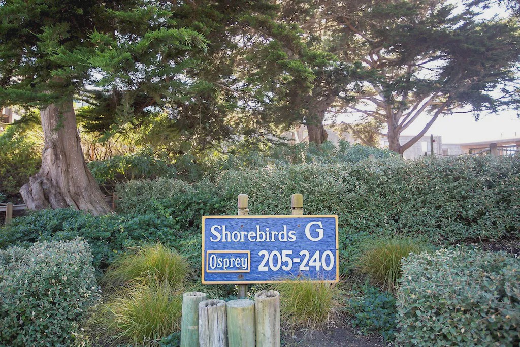Photo of Others in Pajaro Dunes
