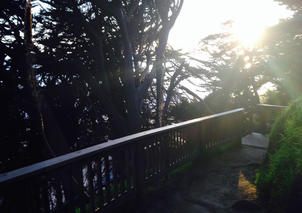 Photo of Buildings in Aptos