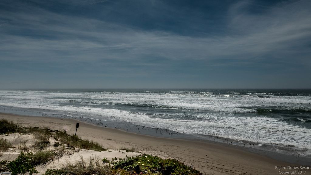 Photo of Outdoor in Watsonville