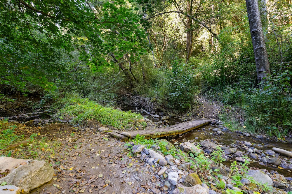 Photo of Others in Scotts Valley