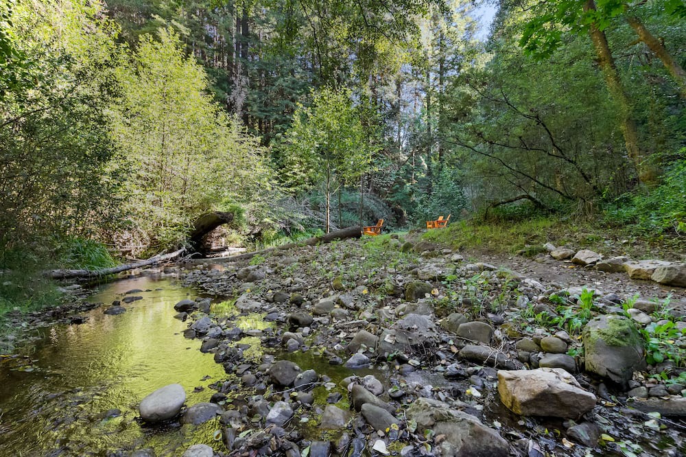 Photo of Others in Scotts Valley