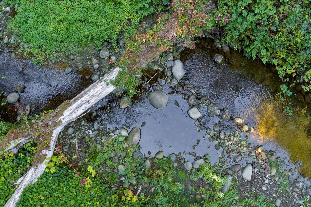 Photo of Others in Scotts Valley