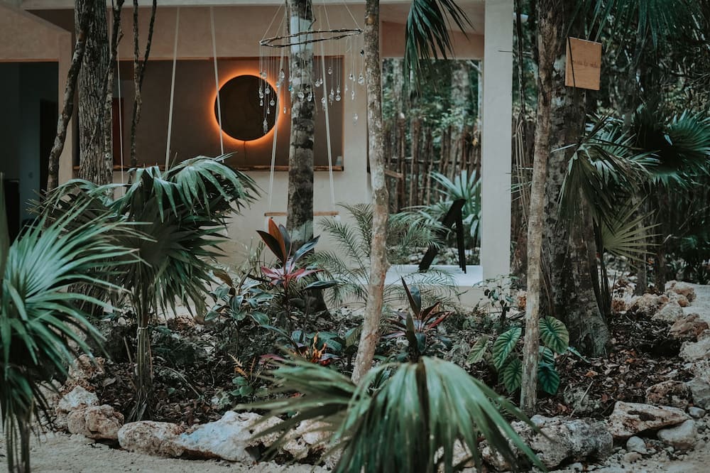Photo of Outdoor in Benito Juarez