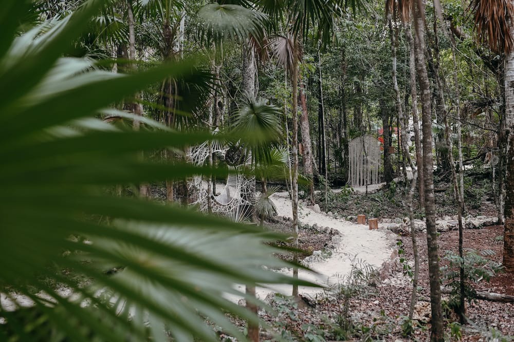 Photo of Outdoor in Benito Juarez