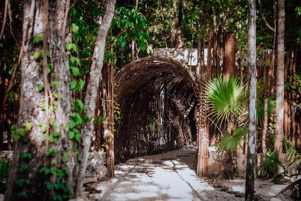 Photo of Outdoor in Benito Juarez