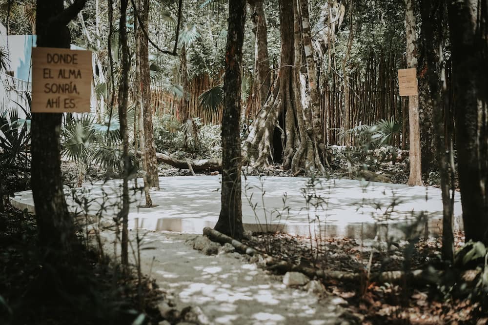 Photo of Outdoor in Benito Juarez