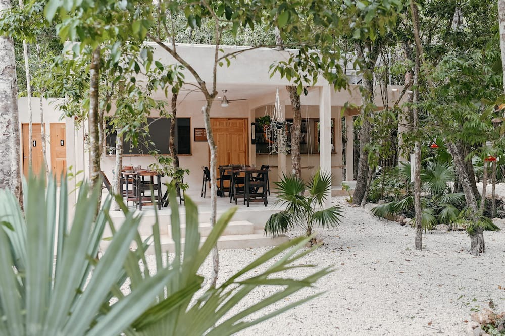 Photo of Outdoor in Benito Juarez