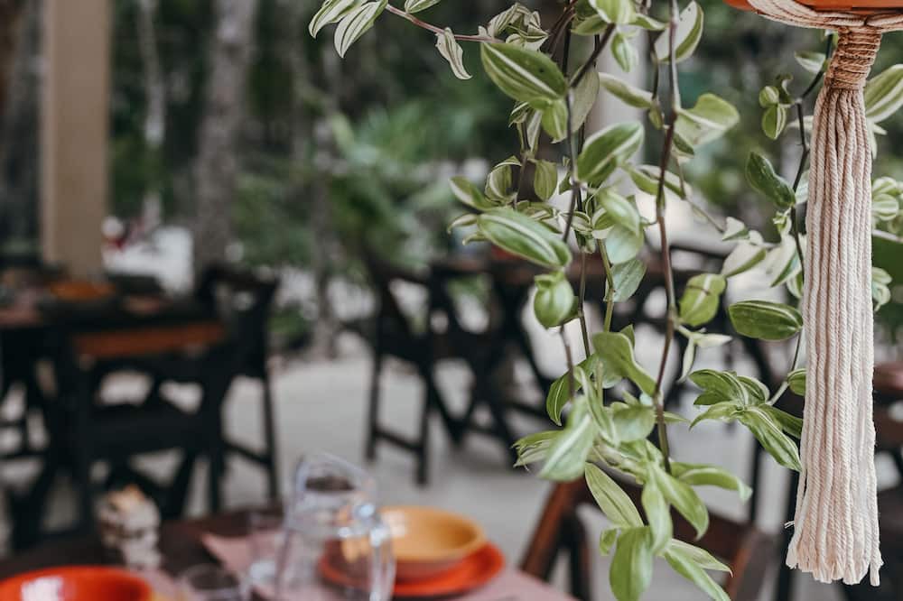 Photo of Patio Balcony in Benito Juarez
