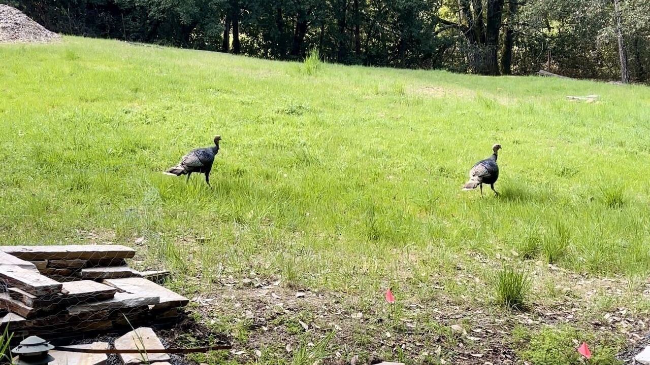 Photo of Outdoor in Watsonville