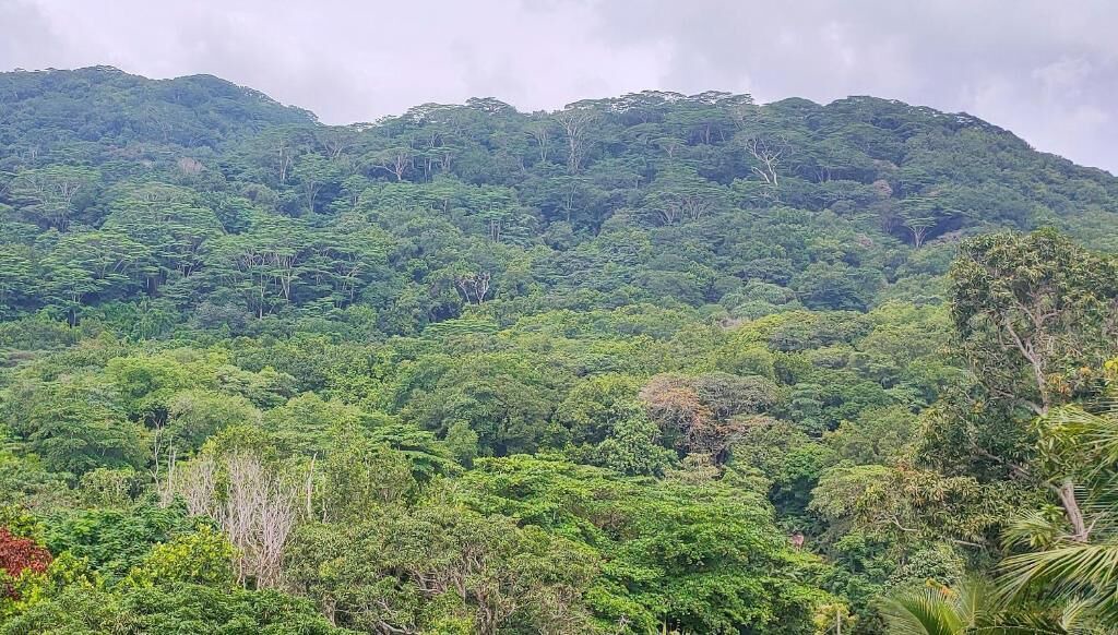Photo of Outdoor in La Digue