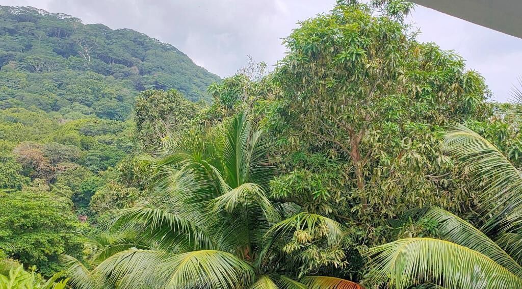 Photo of Outdoor in La Digue
