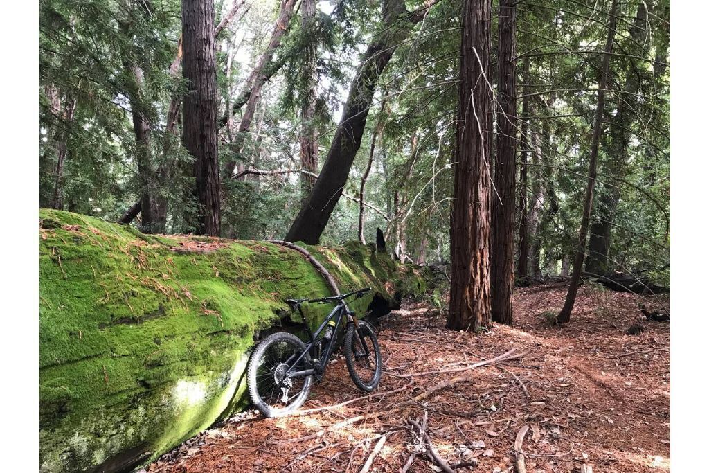 Photo of Outdoor in Aptos