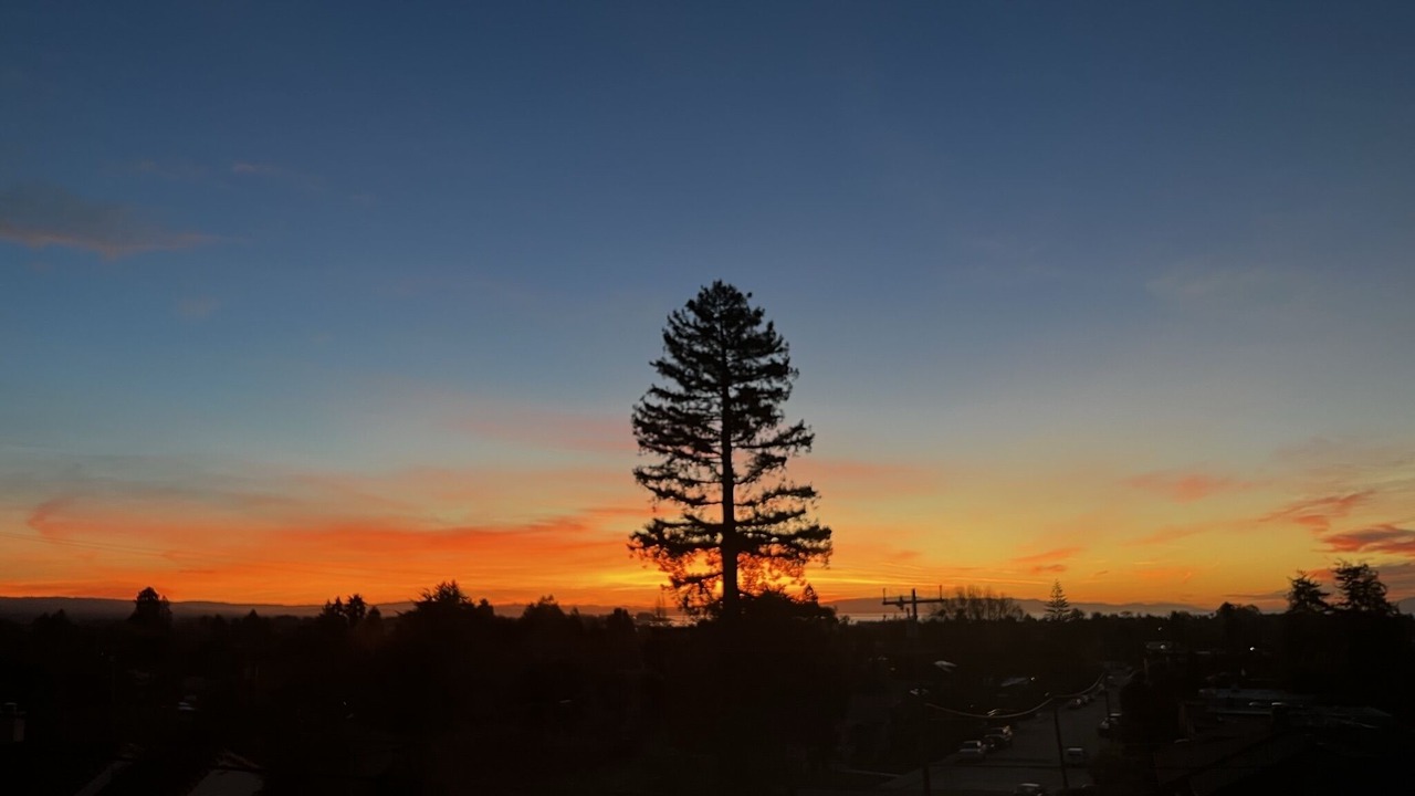 Photo of Outdoor in Westside Santa Cruz