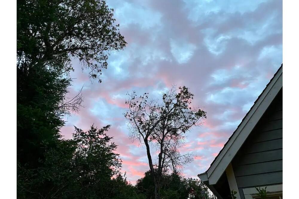 Photo of Outdoor in Felton