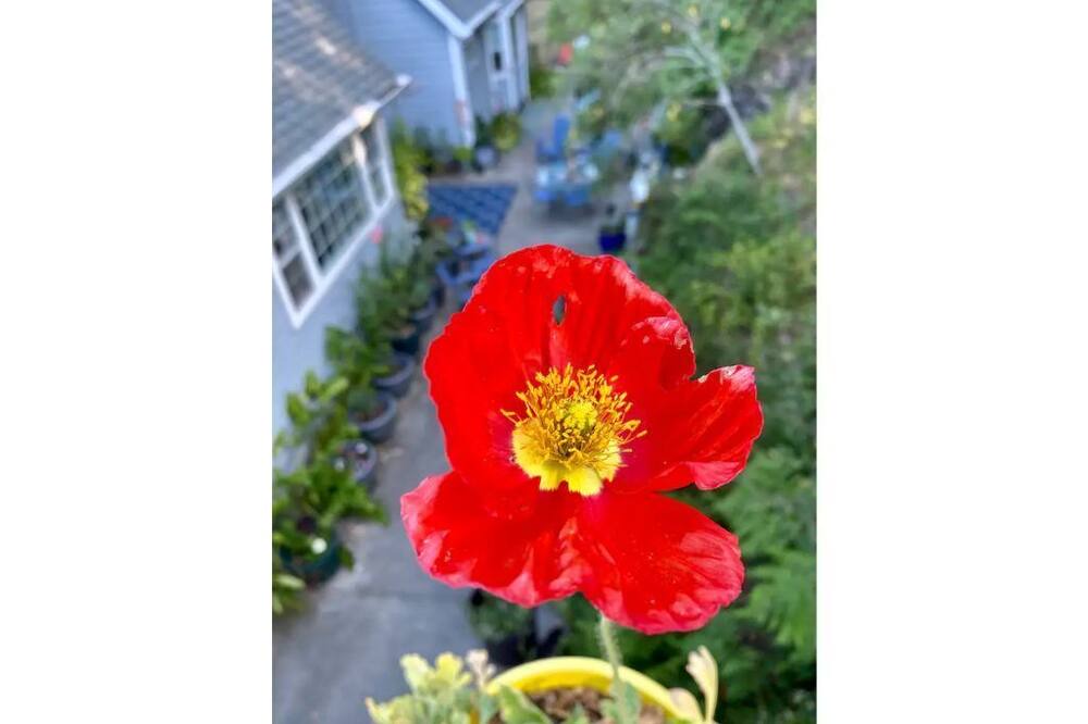 Photo of Outdoor in Felton