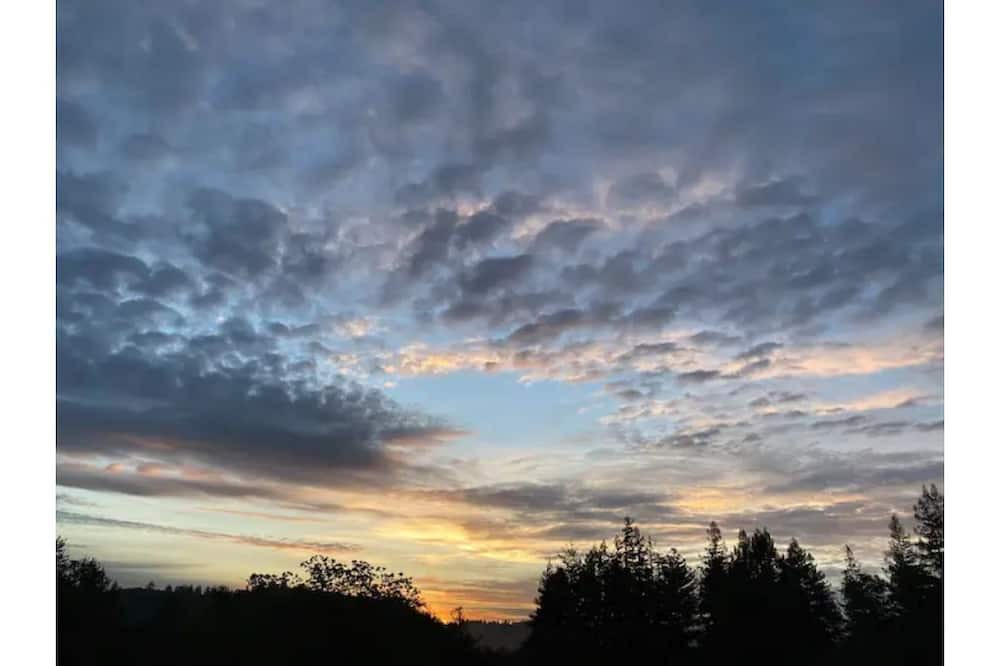 Photo of Outdoor in Felton