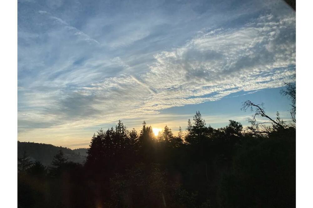 Photo of Outdoor in Felton