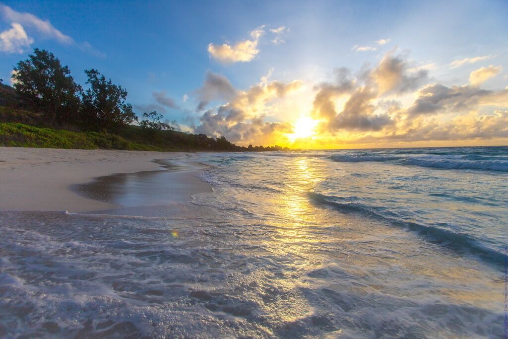 Photo of Others in La Digue