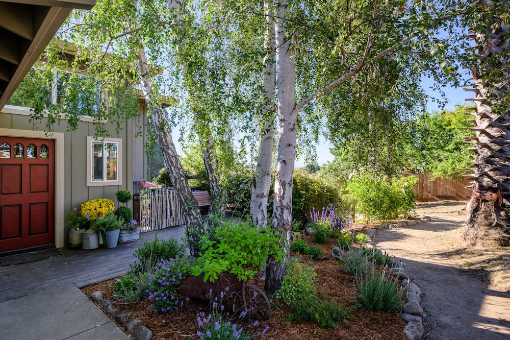 Photo of Outdoor in Watsonville