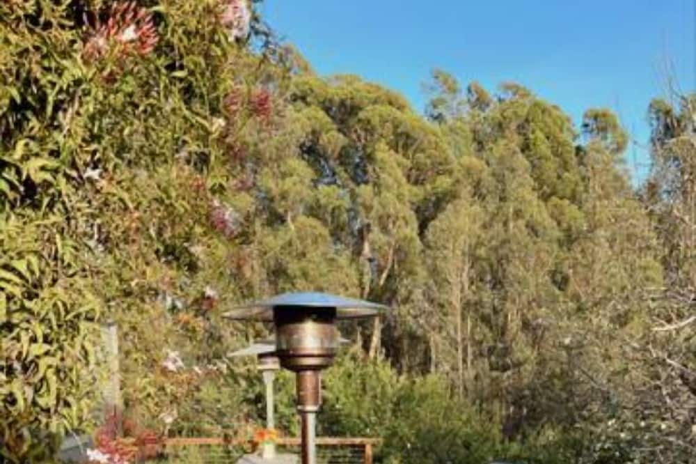 Photo of Outdoor in Watsonville