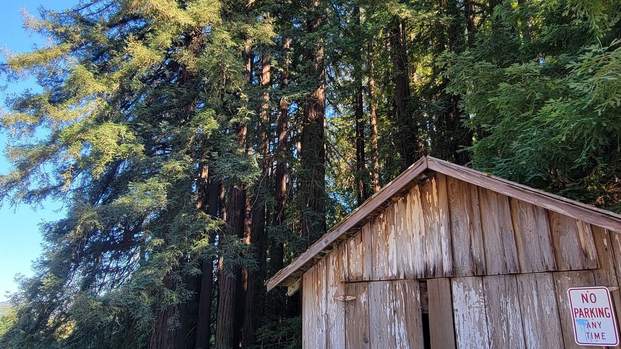 Photo of Outdoor in Scotts Valley