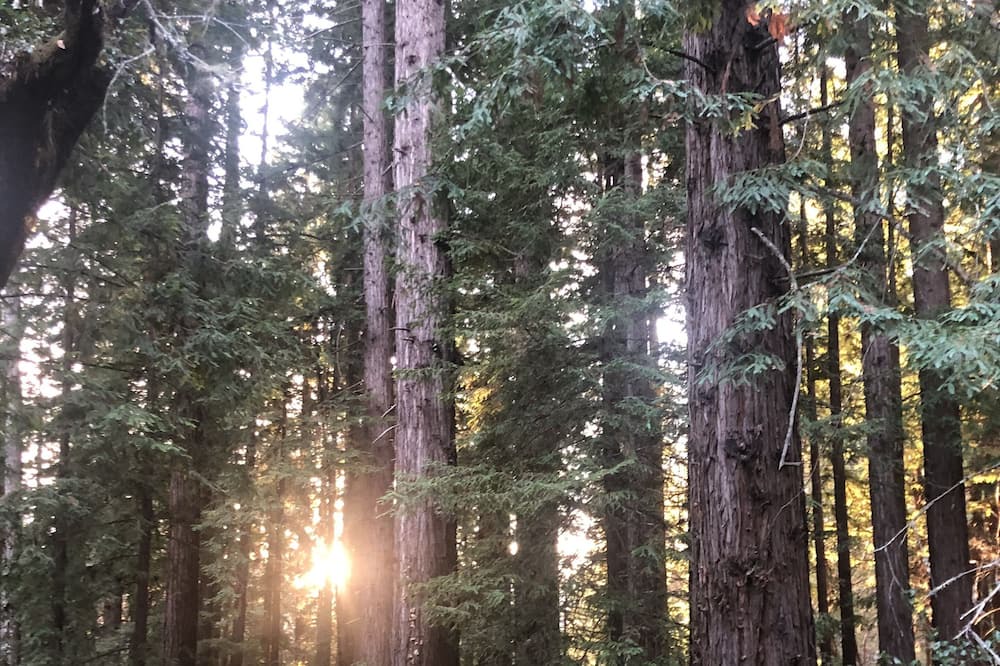Photo of Outdoor in Santa Cruz