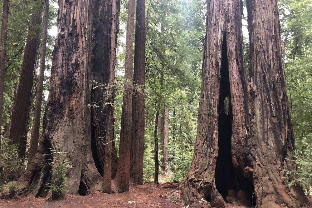 Photo of Outdoor in Santa Cruz