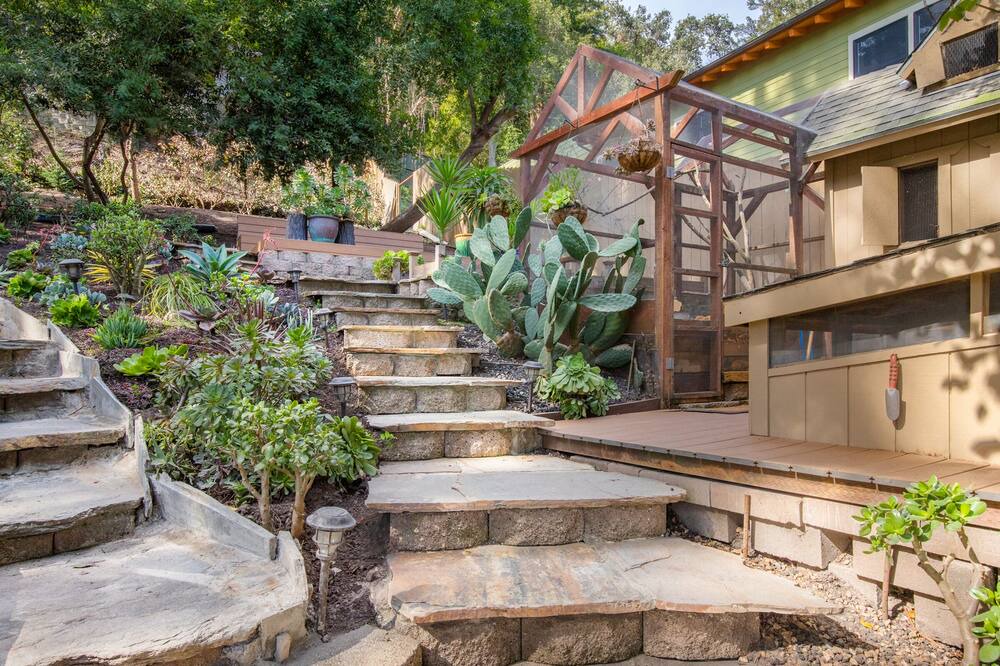 Photo of Outdoor in Santa Cruz